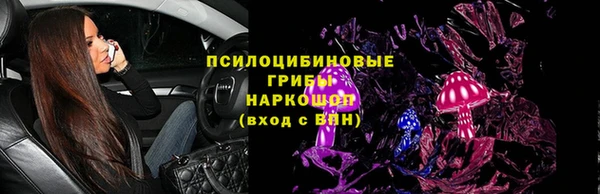 сатива Осташков