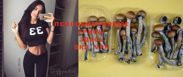 сатива Осташков