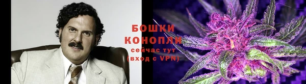 сатива Осташков