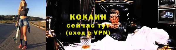 сатива Осташков