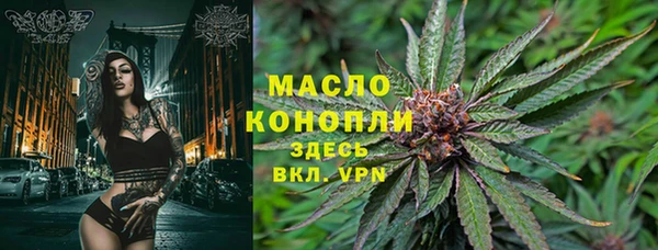сатива Осташков