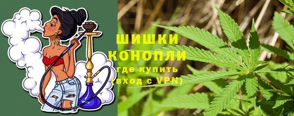 сатива Осташков