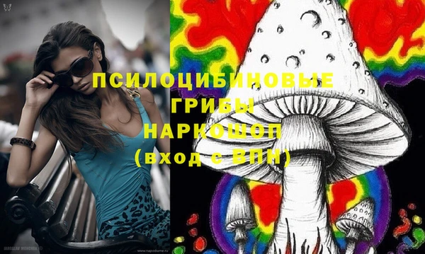 сатива Осташков